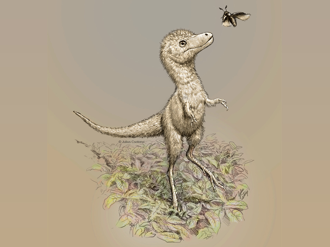 t rex with feathers and wings